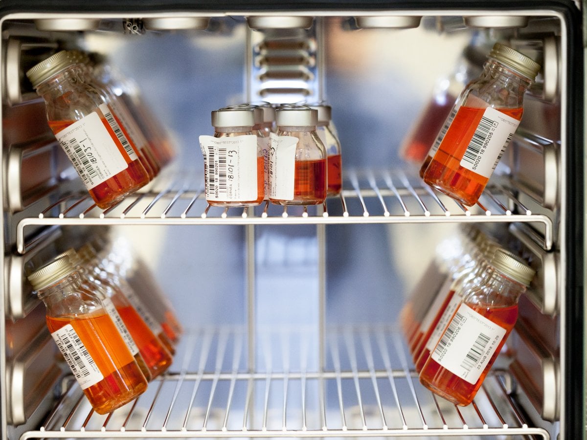 Flaskor med orangefärgad vätska innehållande donerade hornhinnor står i en inkubator på metallhyllor.