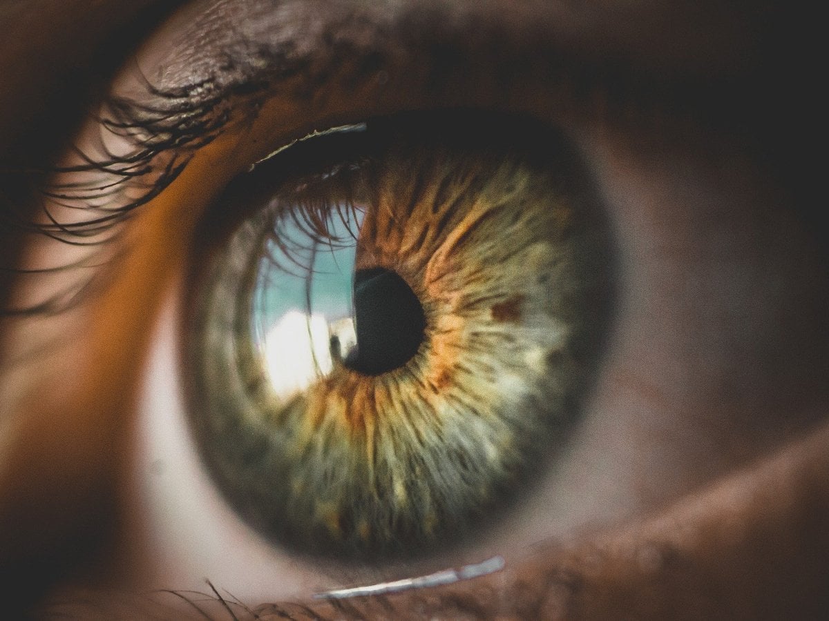 En närbild av en persons öga.