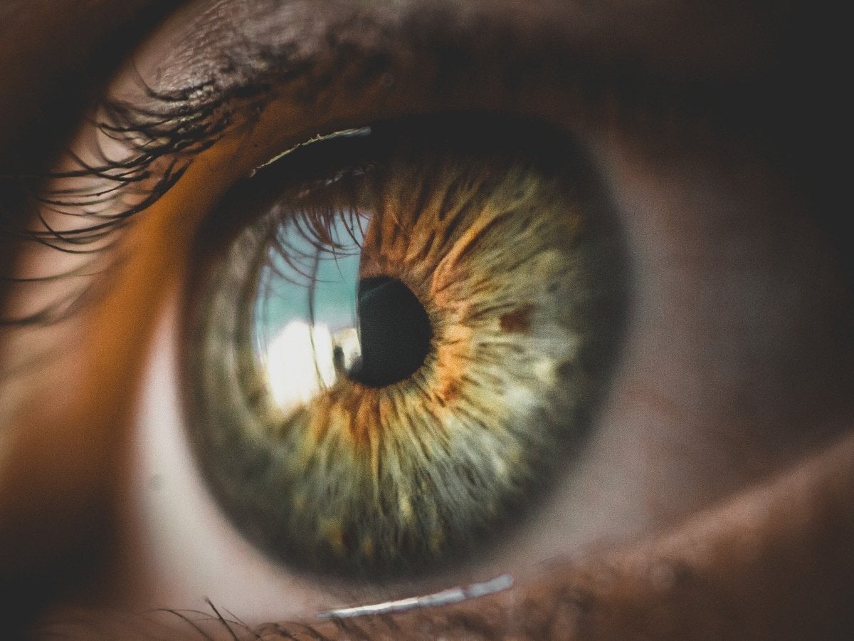 En närbild av en persons öga.