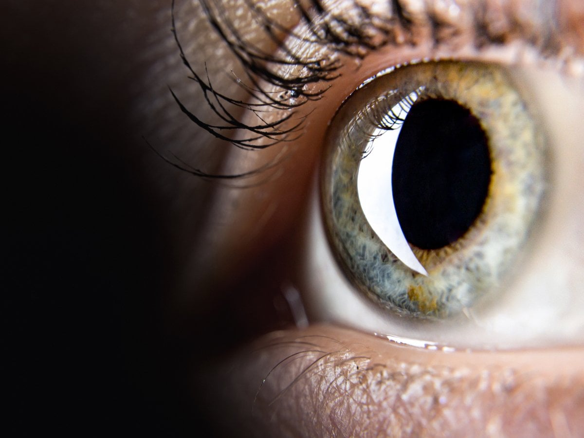 Ett öga med ögonfransar.