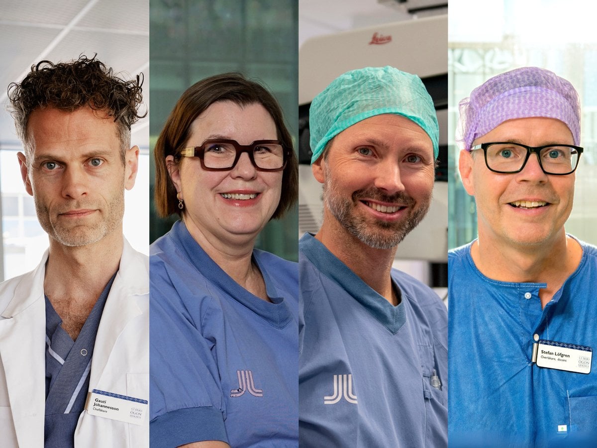 Bildcollage på Gauti Jóhannesson, Amelie Botling Taube, Magnus Grimfors och Stefan Löfgren.