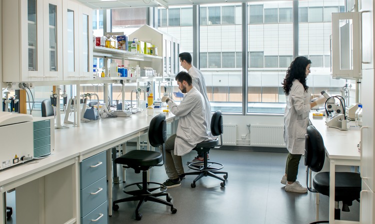 Researchers in the lab.