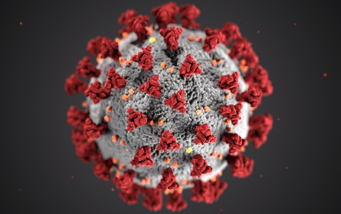 coronavirus-unsplash_dubbelt-(1)